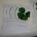 ESTETICA_DEL_TRAUMA4665.jpg