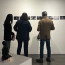 GABA_SEQUENZE_1311.jpg